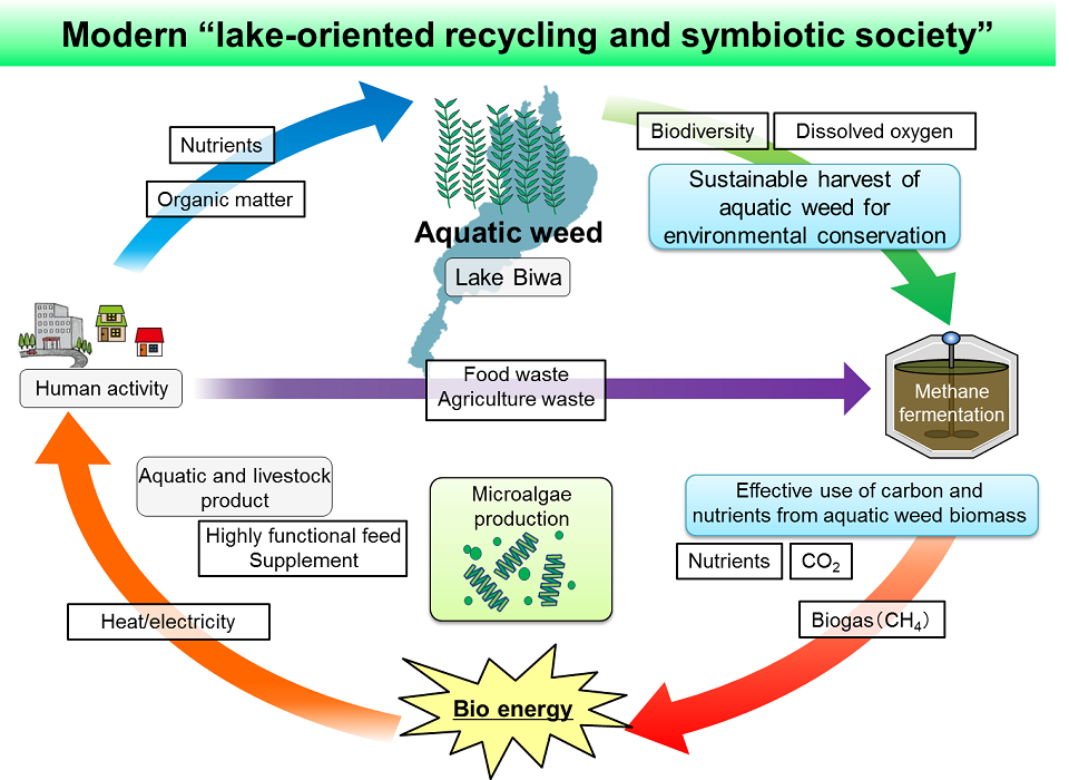 Ultimate goal of our research project, which is the formation of Modern 'lake-oriented recycling and symbiotic society'.