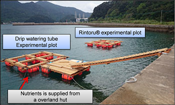 Fig. Experimental rafts for verification experiment in Shin-Kamigoto