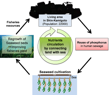 Fig. Schema of nutrients circulation by connecting land with sea in this research project