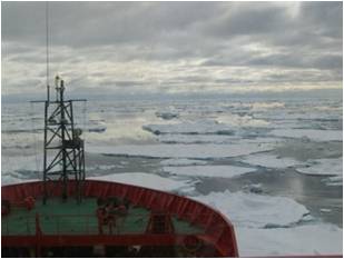 海氷に覆われた南極海を進む調査船<br />海氷の下にはたくさんのナンキョクオキアミが生息している