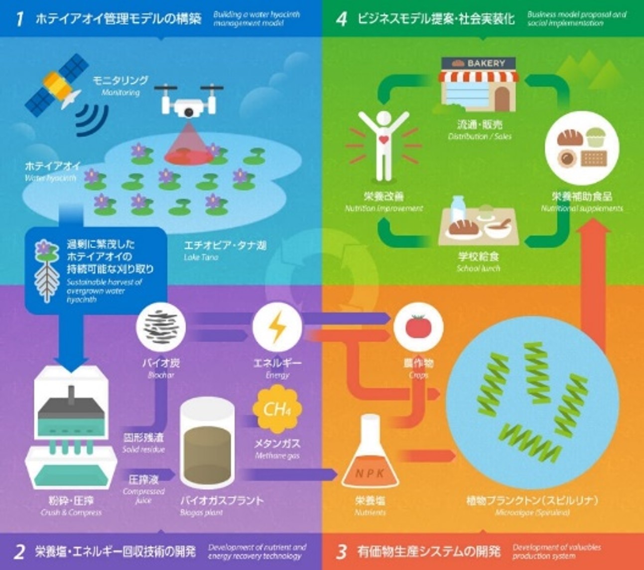 本プロジェクトが目指すシステムの概略図